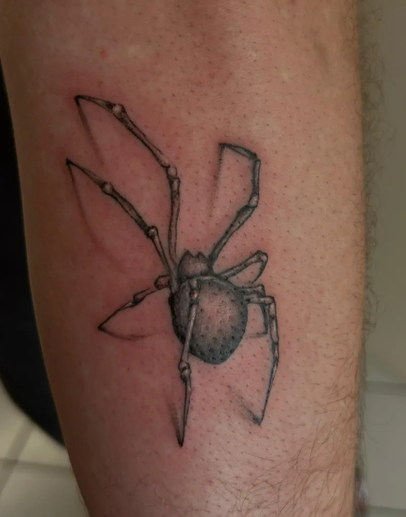 Tatuaggio tridimensionale realistico di un ragno con ombra sul braccio
